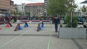 a024.jpg
