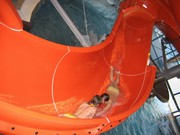 a015.jpg