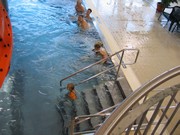 a017.jpg