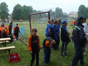 t007.jpg