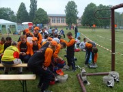 t008.jpg