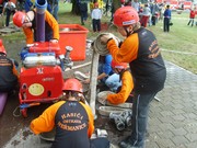 t014.jpg