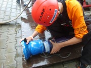 t015.jpg