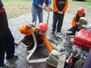 t016.jpg