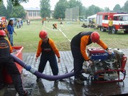 t022.jpg