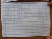 t036.jpg