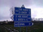a445.jpg