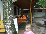 u001.jpg