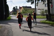 a014.jpg