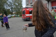 a051.jpg