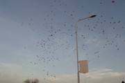 a067.jpg