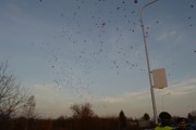 a068.jpg