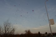a070.jpg