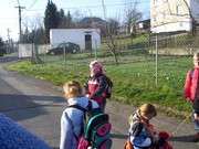 c005.jpg