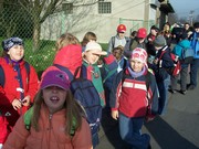 c010.jpg