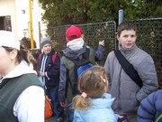 c013.jpg