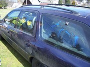 c080.jpg