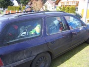 c081.jpg