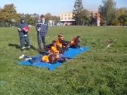 a019.jpg