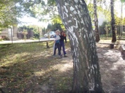 a090.jpg