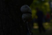 a016.jpg