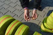a015.jpg