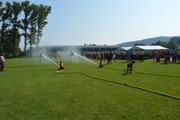 a023.jpg