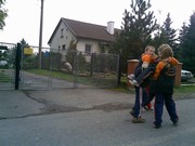 s068.jpg