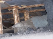 v016.jpg
