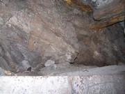 v038.jpg