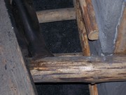 v051.jpg