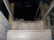 v089.jpg