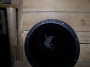 v098.jpg