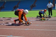 a028.jpg