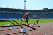 a064.jpg