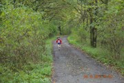 a472.jpg