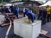 h082.jpg