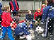 h174.jpg