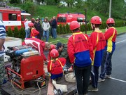 h195.jpg