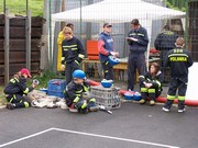 h238.jpg