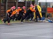 h249.jpg