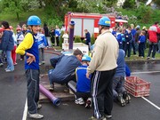 h252.jpg