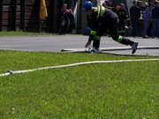 h319.jpg