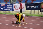 a023.jpg