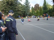 d010.jpg