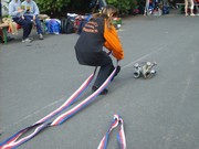 d014.jpg