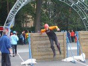 d015.jpg