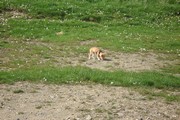 a050.jpg
