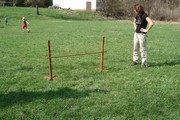 a058.jpg