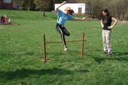 a060.jpg